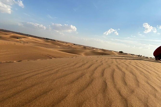 Private Morning Desert Safari Adventures with ATV Quad Bike and Camel Rides - Camel rides and sand boarding: classic desert fun without the long wait