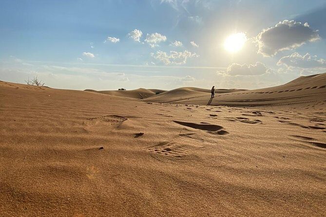 Private Morning Desert Safari Adventures with ATV Quad Bike and Camel Rides - Who this private morning safari suits best