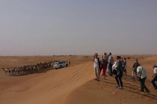 Private Morning Desert Safari From Dubai - Should you book this sunrise desert safari?