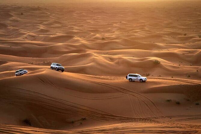 Private Morning Desert Safari From Dubai - Camel farm ride: Bedouin-style moments that stay short and sweet