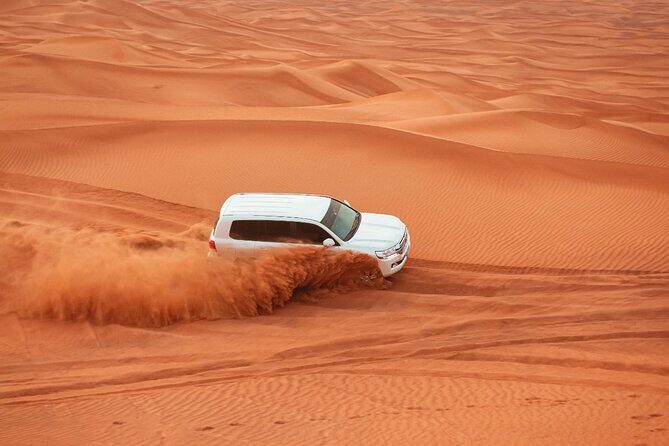 Private Morning Desert Safari with Camel Ride Falcon Photos - Key highlights worth marking on your day