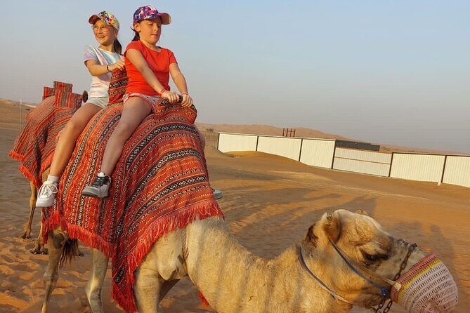 Private Morning Desert Safari with Camel Ride Falcon Photos - Camel ride rhythm: what 20 minutes is actually like