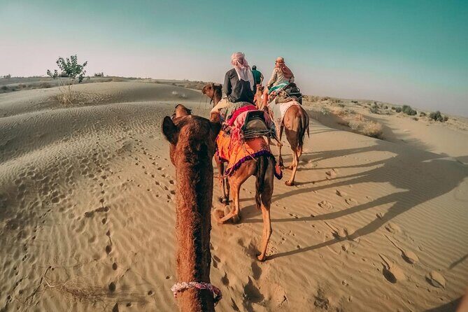 Private Morning Desert Safari with Camel Ride & Sandboarding - Stop planning: what happens at each main area