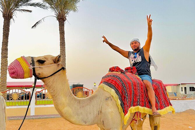 Private Morning Desert Safari With Sandboarding and Camel Ride - Key things you’ll notice on this desert safari