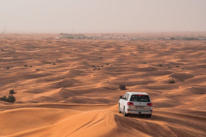 Private Morning Safari with Camel Ride and Sand boarding - Key Things to Know Before You Go