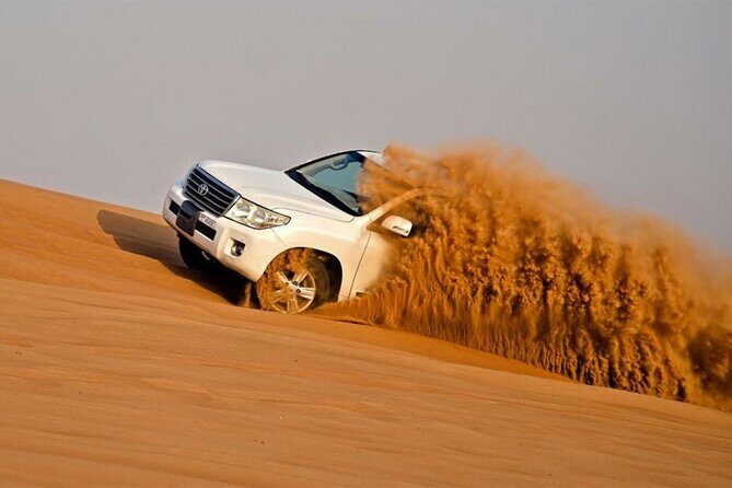 Private Morning safari with Self Ride Quad Bike Camel Ride & more - The guide factor: why Taj and Rashid keep coming up