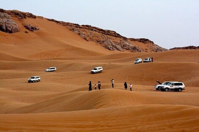 Private Morning safari with Self Ride Quad Bike Camel Ride & more - Who this is best for (and who should double-check)