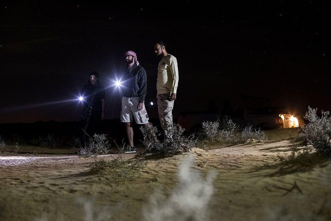 Private Night Vintage Land Rover Desert Safari & Stargazing - Value and price: is $781.49 per person actually fair?