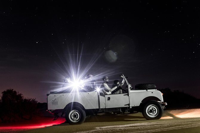 Private Night Vintage Land Rover Desert Safari & Stargazing - Dubai Desert Conservation Reserve: the setting and what you’re looking for