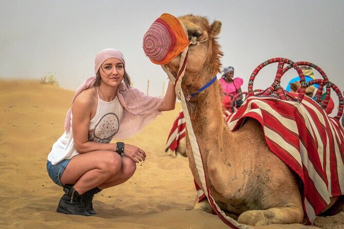 Private Premium Desert Safari 4x4 Vehicle with BBQ Dinner - DUBAI - Quick hits before you go