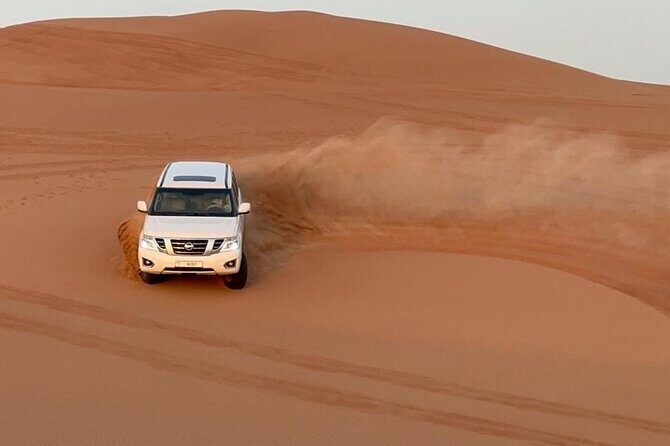 Private Premium Dubai Evening Dune Bashing With Live BBQ - Who This Tour Suits Best (and Who Should Think Twice)