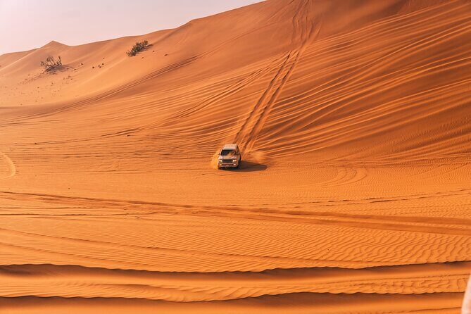 Private Premium Dubai Evening Dune Bashing With Live BBQ - Should You Book This Private Premium Dubai Evening Dune Bashing With Live BBQ?