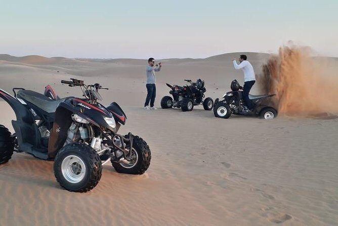 Private Quad Bike Tour through Deep Desert in Dubai - Key things you’ll notice on this ATV quad tour in Dubai