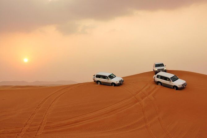 PRIVATE Red Dune Desert Safari, BBQ Dinner, Camel Ride & Falcon Photo - Key Points to Know Before You Go