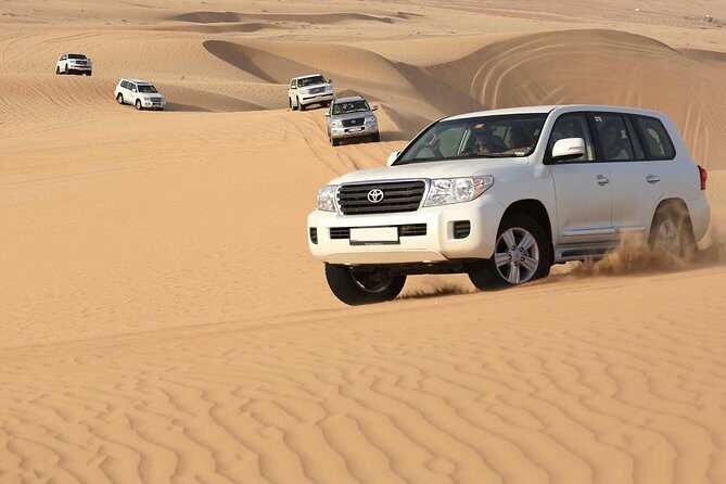 PRIVATE Red Dune Desert Safari, BBQ Dinner, Camel Ride & Falcon Photo - Price and Value: Does $125 Add Up for You?