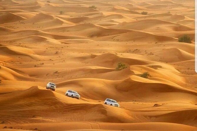 Private Red Dunes Desert Safari Dubai - Camel ride and sandboarding: the “photo plus fun” stretch