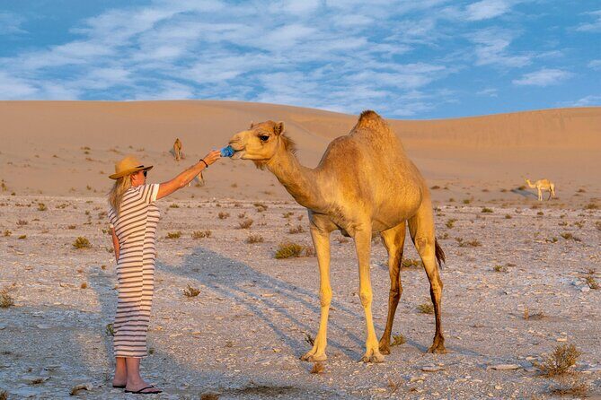 Private Red Dunes Safari with BBQ Dinner and Camel Riding - Timing, comfort, and what to bring for a smoother ride