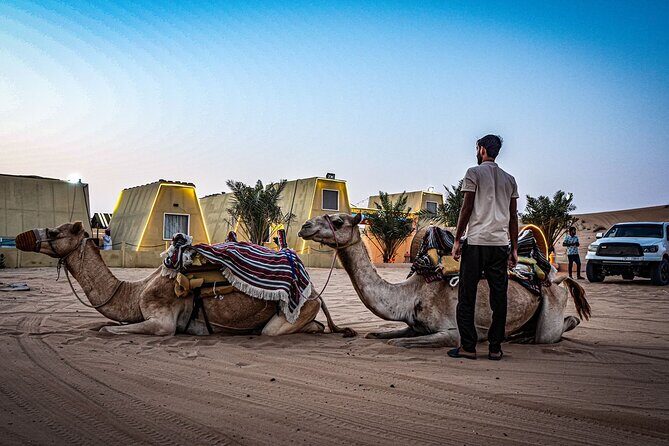 Private RedDune Safari with camel Riding,BBQ dinner &Live Shows - Live shows package: What you’ll be watching at camp