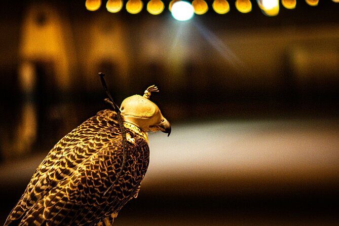 Private RedDune Safari with camel Riding,BBQ dinner &Live Shows - Pickup and timing: The 4x4 Land Cruiser effect