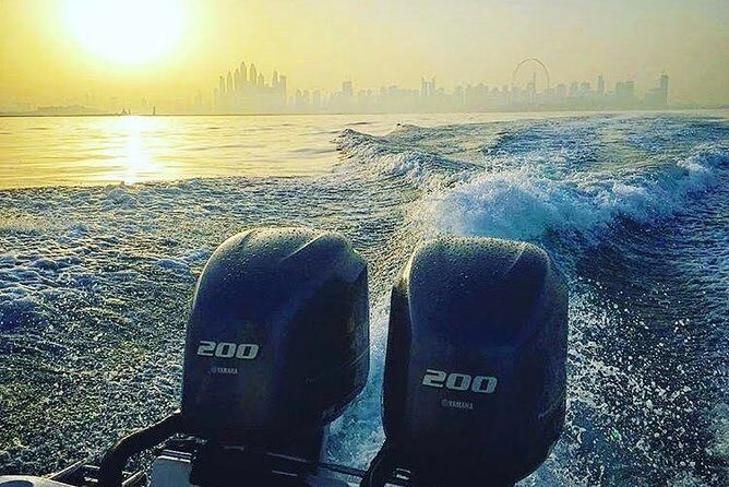Private Regular Fishing Trip in Dubai - What you’re likely to catch (and how variety builds excitement)