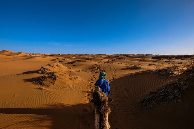 Private Sand Boarding with Camel Ride and Platinum Camp in Safari - BBQ Buffet Dinner: Veg and Non-Veg, Plus the Drinks You Actually Need