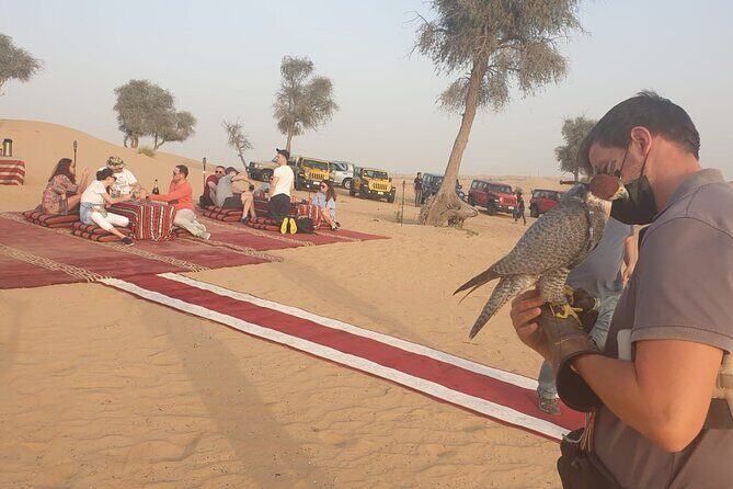 Private setup, Falcon photo , Dinner, Sunset in middle of Desert - Sand Boarding, Camel Riding, and Arabian Outfit Photo Moments