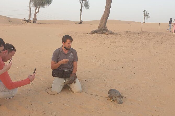Private setup, Falcon photo , Dinner, Sunset in middle of Desert - Falcon Briefing Before Sunset: Up Close With a Licensed Guide