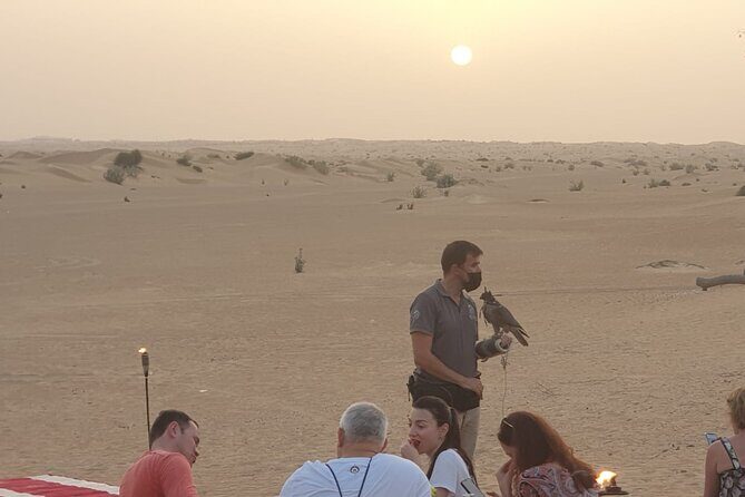 Private setup, Falcon photo , Dinner, Sunset in middle of Desert - Who This Safari Fits Best (and Who Should Rethink)