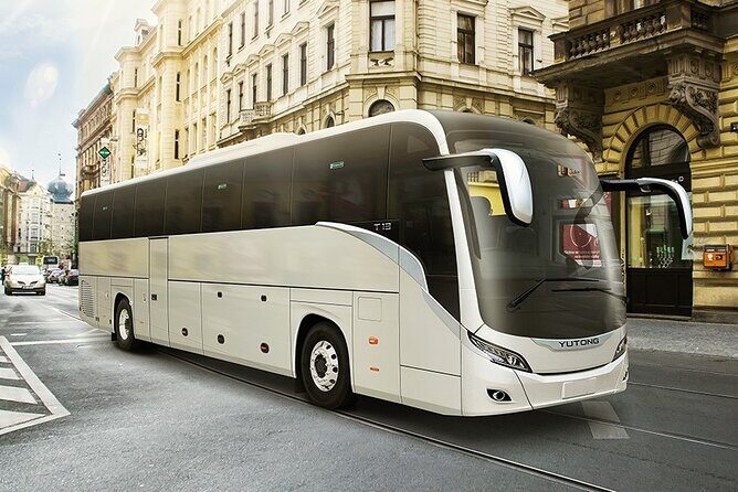 Private, Small and Big Groups Rent a Van in Dubai - Key highlights you’ll care about