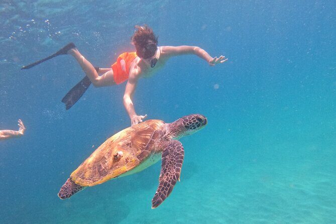 Private Snorkeling with turtles with BBQ food - What to expect when turtles are the target
