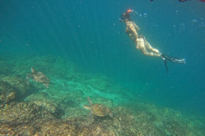 Private Snorkeling with turtles with BBQ food - Light BBQ after snorkeling: the value of a real meal