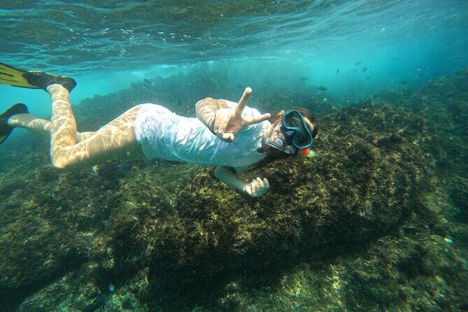 Private Snorkeling with turtles with BBQ food - What’s not included (so you can pack smarter)