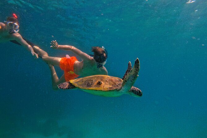 Private Snorkeling with turtles with BBQ food - The “2-hour” schedule that actually feels doable