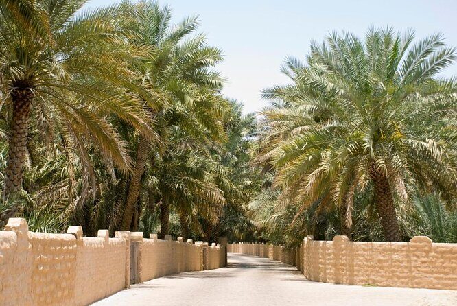 Private Tour : Al Ain City Sightseeing with Lunch from Dubai - Key highlights worth your attention