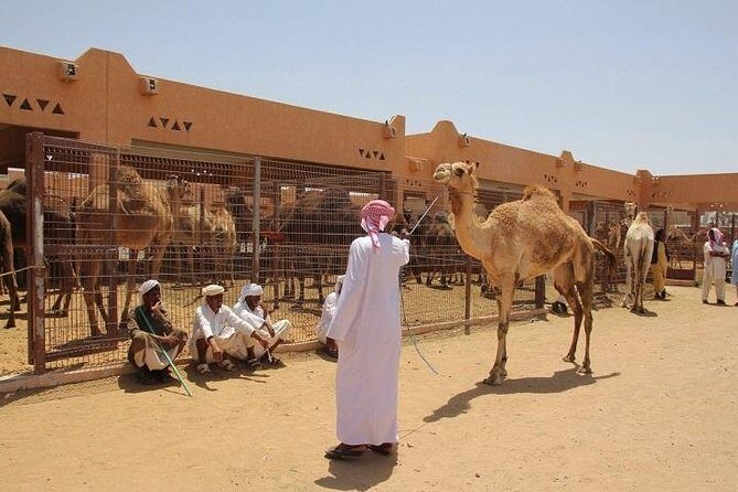 Private Tour: Full Day Al Ain City Tour From Dubai - Al Ain feels like a different UAE than Dubai