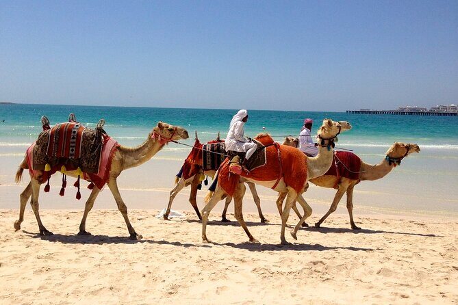 Private Tour of Dubai Experience the Diversity of the City - Burj Al Arab stop: iconic hotel photos, with realistic limits