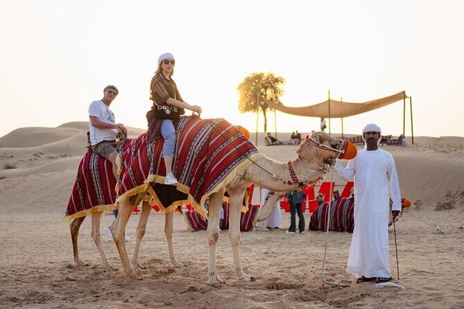 Private Vegan and Vegetarian Friendly Safaris Dubai - Who Should Book This Vegan-Friendly Desert Safari in Dubai?