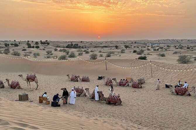 Quad Bike Dubai Private Tour - The Desert Ride Itself: What to Expect in the Dunes