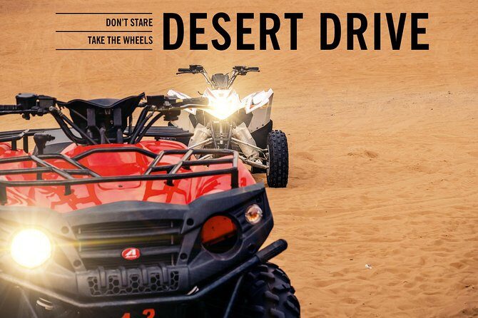 Quad Bike Guided Desert Tour - Quick Hits: what’s great and what you should watch for
