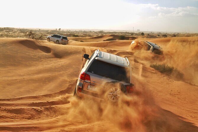 RAK Desert Safari and BBQ Dinner with RAK pick up - Key things to know before you go