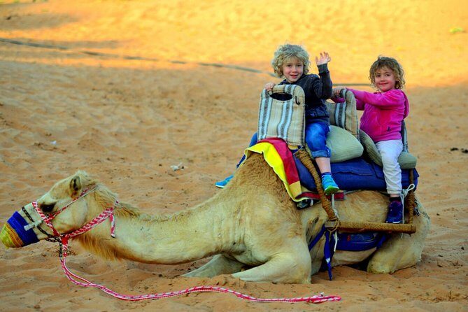 RAK Dinner In the Desert with RAK Transfer - Transfers, comfort, and safety: the part you don’t want to guess at
