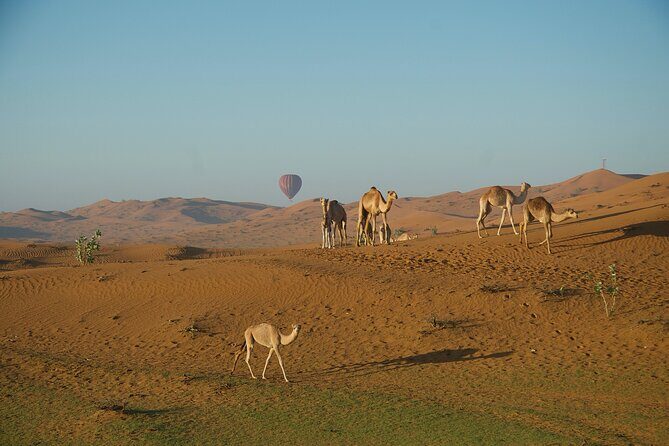 RAK Hot Air Balloon Flight - Ras Al Khaimah Sunrise Balloon: The Real Reason It Works