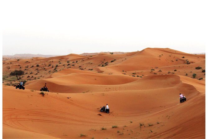 RAK Quad Bike Tour with Return Transfer - Quad Bikes Through Ras Al Khaimah Dunes: What the Ride Feels Like