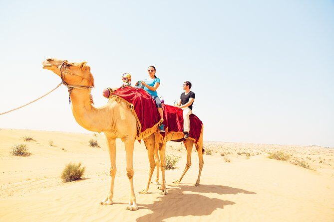 Ras Al-Khaimah: Desert Safari Fun & Adventure Trip with Dinner - The 3-course buffet dinner with unlimited soft drinks