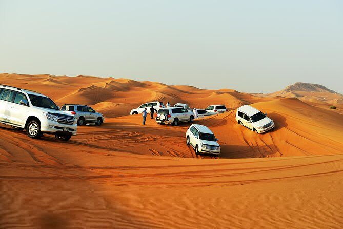 Ras Al-Khaimah: Desert Safari Fun & Adventure Trip with Dinner - Who this Ras Al Khaimah desert safari fits best