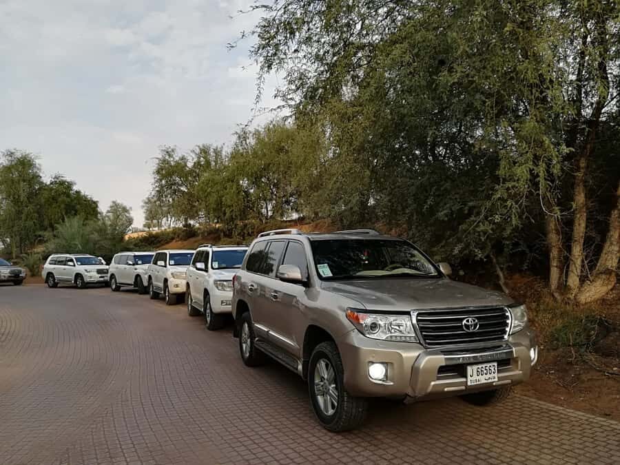 Ras Al Khaimah: Half-Day Desert Safari with Dinner - The Shows: Tannourah, Belly Dancing, and Fire at Camp