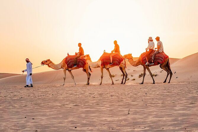 Red Desert Safari With Camel Ride & Sand Skiing - Getting There: Pickup, Driver Style, and the 6–7 Passenger Ride