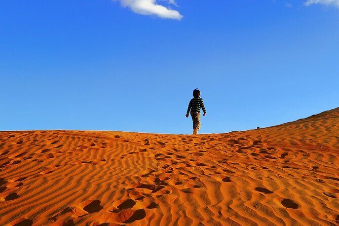 Red Dune Desert Safari Dubai - Drivers, language, and the family-picture advantage