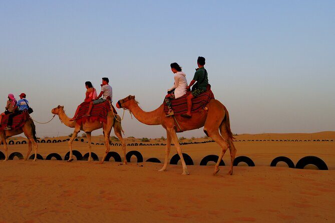 Red Dune Desert Safari Dubai Camel Ride Sandboarding & BBQ Dinner - Dune Bashing in a 4x4 Land Cruiser: The Main Event (30–35 Minutes)