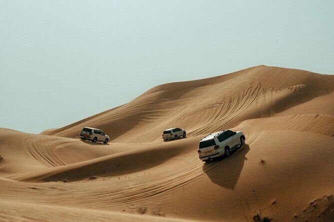 Red Dune Desert Safari Tour with Camel Ride & BBQ Experience - Dune bashing, camel ride, and sandboarding: the action checklist